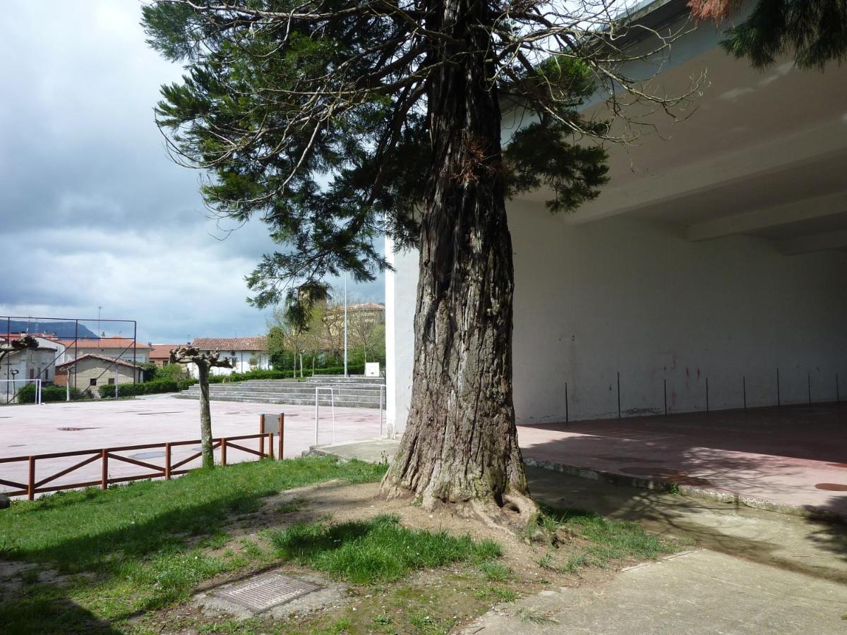 Apartamentos Rurales Imaz Etxea - Urbasa Olazagutía Værelse billede